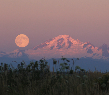 感情中失去分享欲的说说 快要失去爱情了的句子 感情中失去分享欲的说说 快要失去爱情了的句子