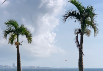 谈恋爱腻了心情说说 恋爱久了感情变淡说说