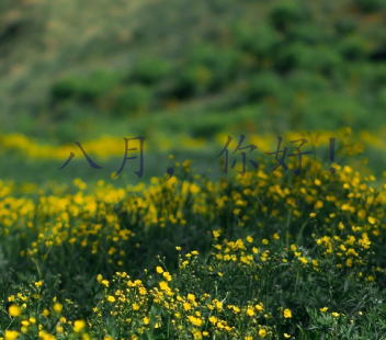 2023八月你好正能量励志说说 八月请善待我的朋友的短句 2023八月你好正能量励志说说 八月请善待我的朋友的短句