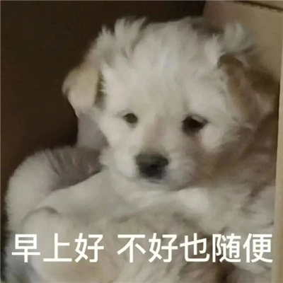 年轻人喜欢用的聊天表情 当代年轻人必备的流行表情