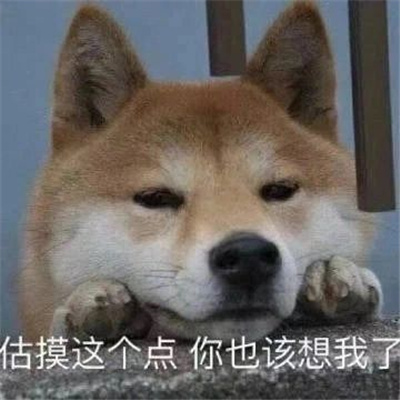 2023增加聊天风趣的表情最新 好用的无水印表情