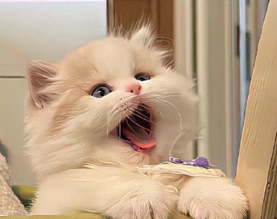 夏季被蚊子咬很心烦的说说 被蚊子咬醒的烦躁说说