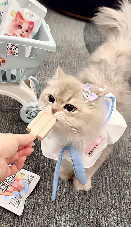 一定要存的可爱壁纸合集 保持炙热坚持下去