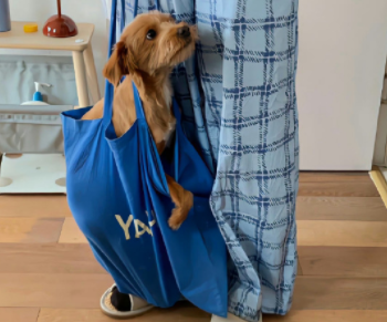 保持一颗纯粹的心的说说 永远保持内心纯粹的句子 保持一颗纯粹的心的说说 永远保持内心纯粹的句子