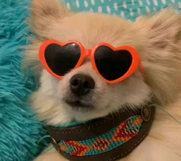 特别酷的超拽签名充满魅力 很飒的签名让人喜欢 特别酷的超拽签名充满魅力 很飒的签名让人喜欢