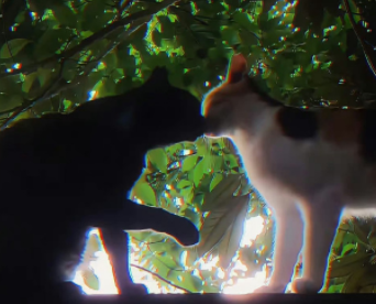 搞笑解压的朋友圈文案 给自己解压的幽默说说 搞笑解压的朋友圈文案 给自己解压的幽默说说