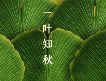 2023迎接立秋的开心说说 今日立秋节气心情说说短语 2023迎接立秋的开心说说 今日立秋节气心情说说短语