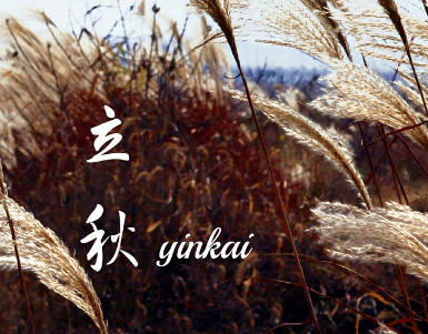 今日立秋发朋友圈的伤感说说 立秋节气的郁闷短句 今日立秋发朋友圈的伤感说说 立秋节气的郁闷短句