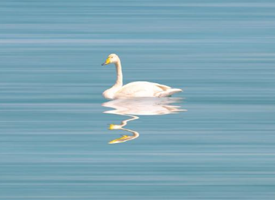 状态很好的致自己的签名 很成熟的简短签名