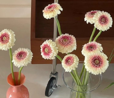 简单的农村生活的说说 农村接地气的文案 简单的农村生活的说说 农村接地气的文案