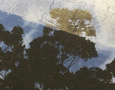 封心不再爱了的说说 把心关上不再爱的说说 封心不再爱了的说说 把心关上不再爱的说说