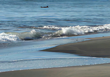 阳光给自己带来好心情的说说 阳光甚好的唯美短句 阳光给自己带来好心情的说说 阳光甚好的唯美短句