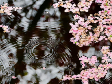 休闲舒适周末微信朋友圈文案 美好周末休闲时光文案 休闲舒适周末微信朋友圈文案 美好周末休闲时光文案