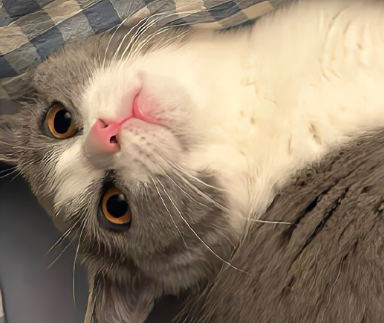 2023低调晒七夕礼物的短句 七夕暗戳戳秀恩爱的语录 2023低调晒七夕礼物的短句 七夕暗戳戳秀恩爱的语录