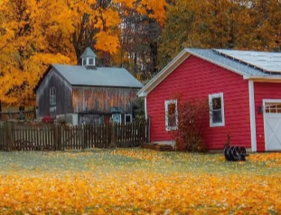 关于秋季的遗憾说说 秋天伤感的季节说说 关于秋季的遗憾说说 秋天伤感的季节说说