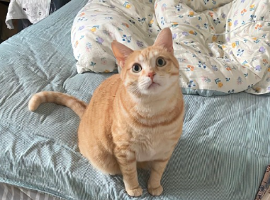 安抚人心句句沁脾的签名 值得一用的温柔签名 安抚人心句句沁脾的签名 值得一用的温柔签名