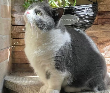 很棒状态很好的短句让自己保持清醒 每天保持好心态的朋友圈文案 很棒状态很好的短句让自己保持清醒 每天保持好心态的朋友圈文案