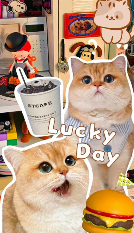 奶呼呼很甜系列的壁纸 萌太甜了全屏壁纸