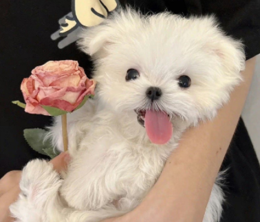 让陌生人觉得很暖的句子 让人感慨让人暖心的句子 让陌生人觉得很暖的句子 让人感慨让人暖心的句子