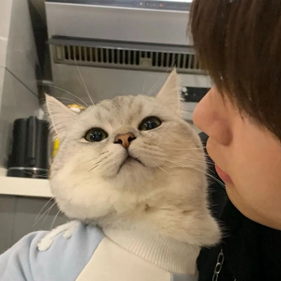 一秒就心动的情头很火热 超甜精致的情头