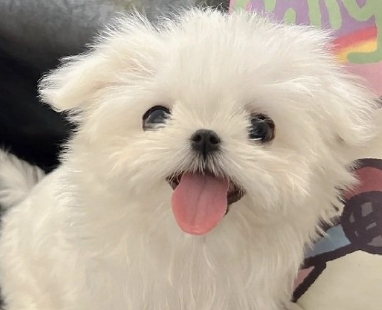 陪伴孩子的幸福时光的句子 陪伴孩子的文案 陪伴孩子的幸福时光的句子 陪伴孩子的文案