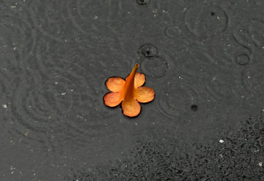 及时行乐的朋友圈短句 及时行乐的说说