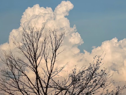 容易让人评论的文案 评论区杀疯了的文案