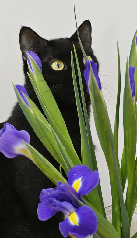 让人一眼就会着迷的壁纸 干净简洁的壁纸很创意合集