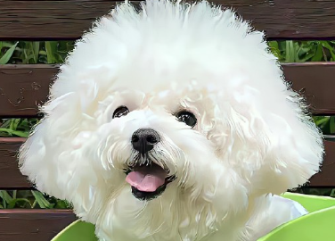 为老不尊的句子发朋友圈 讽刺老人没有教养的话 为老不尊的句子发朋友圈 讽刺老人没有教养的话