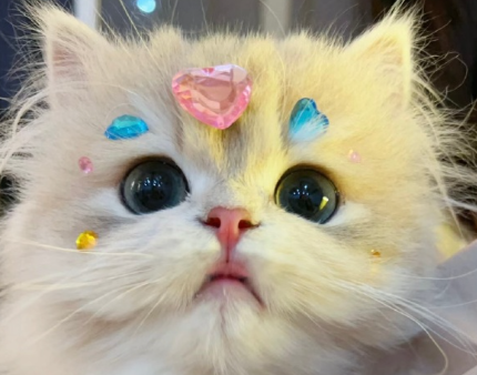 美少女上传日常的简短自拍文案 女孩子分享生活的简短语录 美少女上传日常的简短自拍文案 女孩子分享生活的简短语录