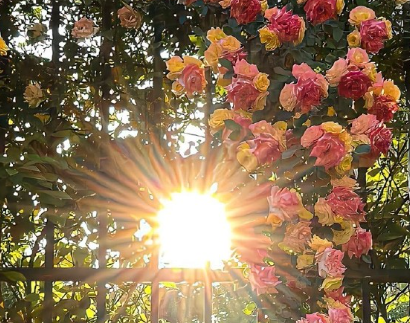 用上后让你少点不开心的签名 不要预支明天的烦恼 用上后让你少点不开心的签名 不要预支明天的烦恼