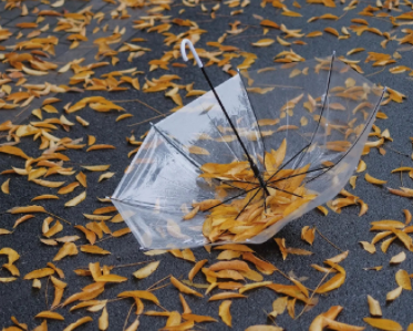 反恋爱脑只想发财的文案 趣味暴富文案