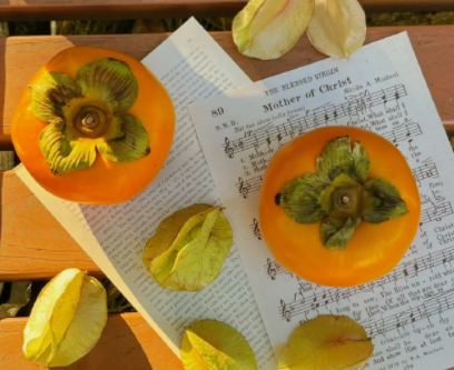 反恋爱脑只想发财的文案 趣味暴富文案 反恋爱脑只想发财的文案 趣味暴富文案