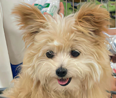 姑嫂之间最暖心的句子 姑嫂感情深的句子 姑嫂之间最暖心的句子 姑嫂感情深的句子