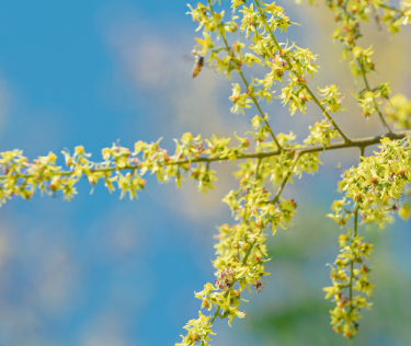 2023秋季出游的心情说说 秋季郊游的开心短句