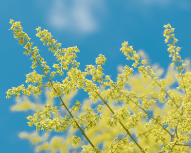 2023秋季出游的心情说说 秋季郊游的开心短句 2023秋季出游的心情说说 秋季郊游的开心短句