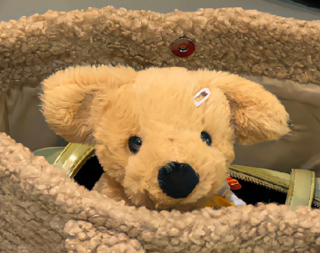 今天又是晦气的一天说说 今天是霉气满满的一天说说