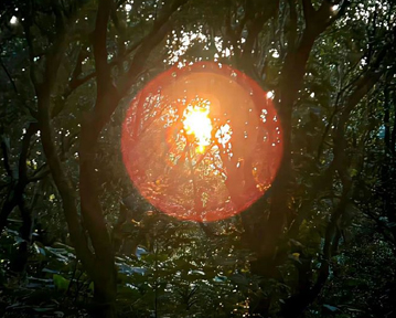 一段成熟而又伤感的话致自己 经典成熟伤感霸气的句子 一段成熟而又伤感的话致自己 经典成熟伤感霸气的句子