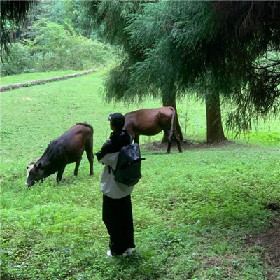 背影男头很成熟让人超喜欢 背影控男头最新版
