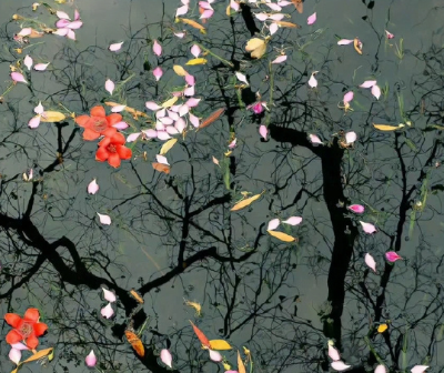 孩子们的孝顺懂事让我感到欣慰的句子合集 孩子们的孝顺懂事让我感到欣慰的句子合集