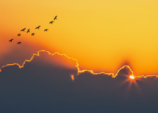 很酷的又很吸睛朋友圈简短文案 酷酷的文案短句大全 很酷的又很吸睛朋友圈简短文案 酷酷的文案短句大全