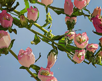 近期杀疯了的小众签名很火 比较火的个性签名大全 近期杀疯了的小众签名很火 比较火的个性签名大全