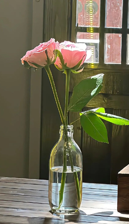 绝美系列的高级感壁纸大全 这期壁纸我真的太爱辽