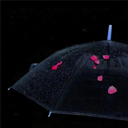 2024极致黑色美学氛围绝佳感背景图 希望你永远温柔阳光有底线