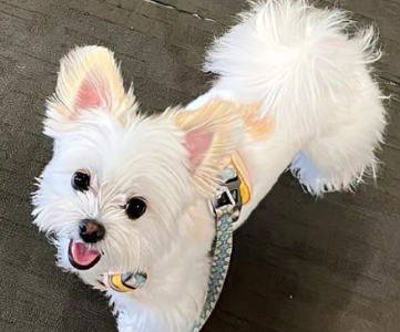 共同奔赴未来的阳光签名 积极乐观的阳光签名 共同奔赴未来的阳光签名 积极乐观的阳光签名