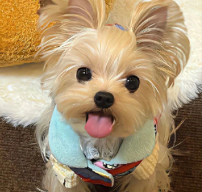 签名抖音上爆火简短显高级 会让你句句都喜欢的签名