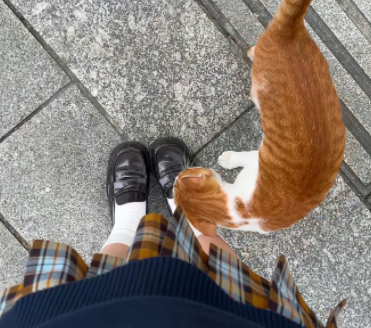 适合微信QQ用的超级可爱的自动回复句子 很俏皮的自动回复文案 适合微信QQ用的超级可爱的自动回复句子 很俏皮的自动回复文案