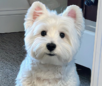 使人极度清醒的励志文案 正能量且独立的语录 使人极度清醒的励志文案 正能量且独立的语录