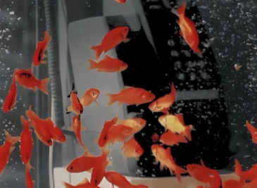 很旺自己的金句文案 不发脾气只发财 很旺自己的金句文案 不发脾气只发财