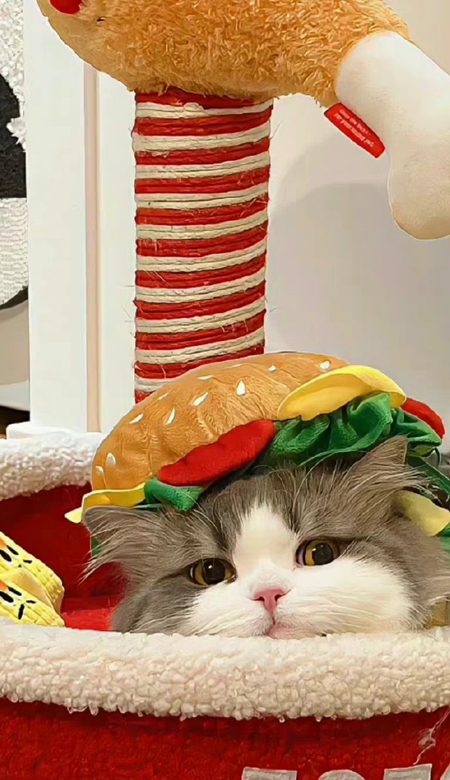 2024超高清壁纸美到心坎上 全屏无水印有格调的壁纸